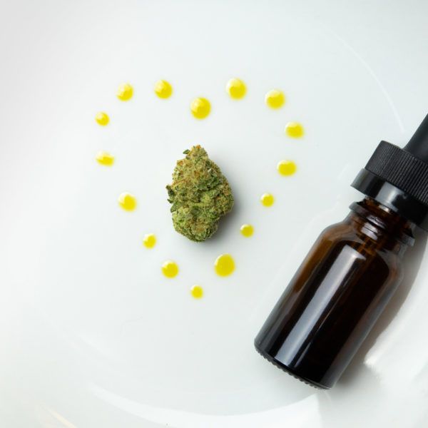 CBD Shop Canapaland - Cannabis, Moon Rock, Hashish