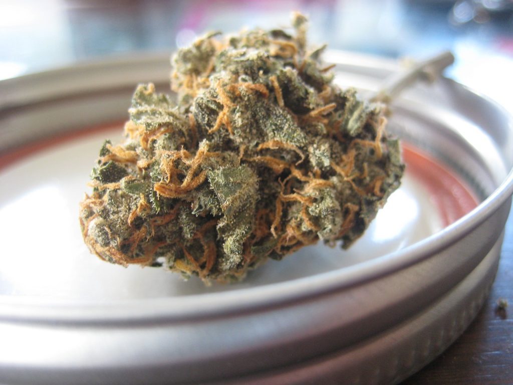 CBD Shop Canapaland - Cannabis, Moon Rock, Hashish