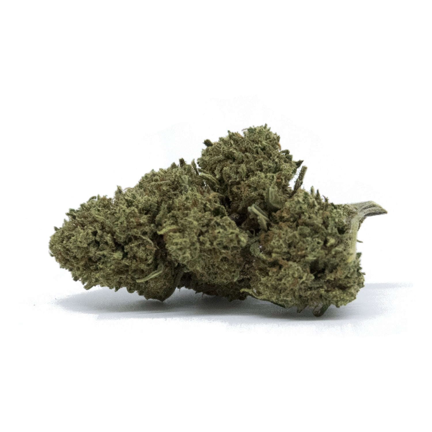 CBD Shop Canapaland - Cannabis, Moon Rock, Hashish Black Cherry CBD